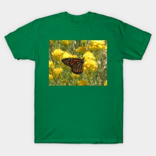 Butterfly, wildlife, gifts, butterflies, Nature Speaks T-Shirt